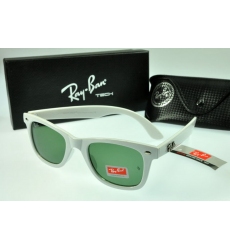 Ray-ban Glasses-1449