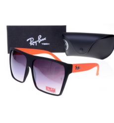 Ray-ban Glasses-1495